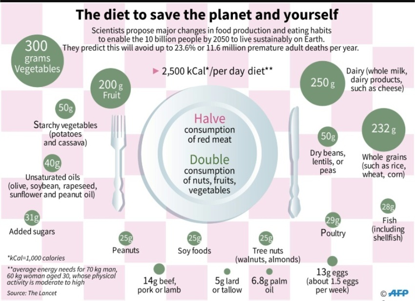 human diet ruins the earth